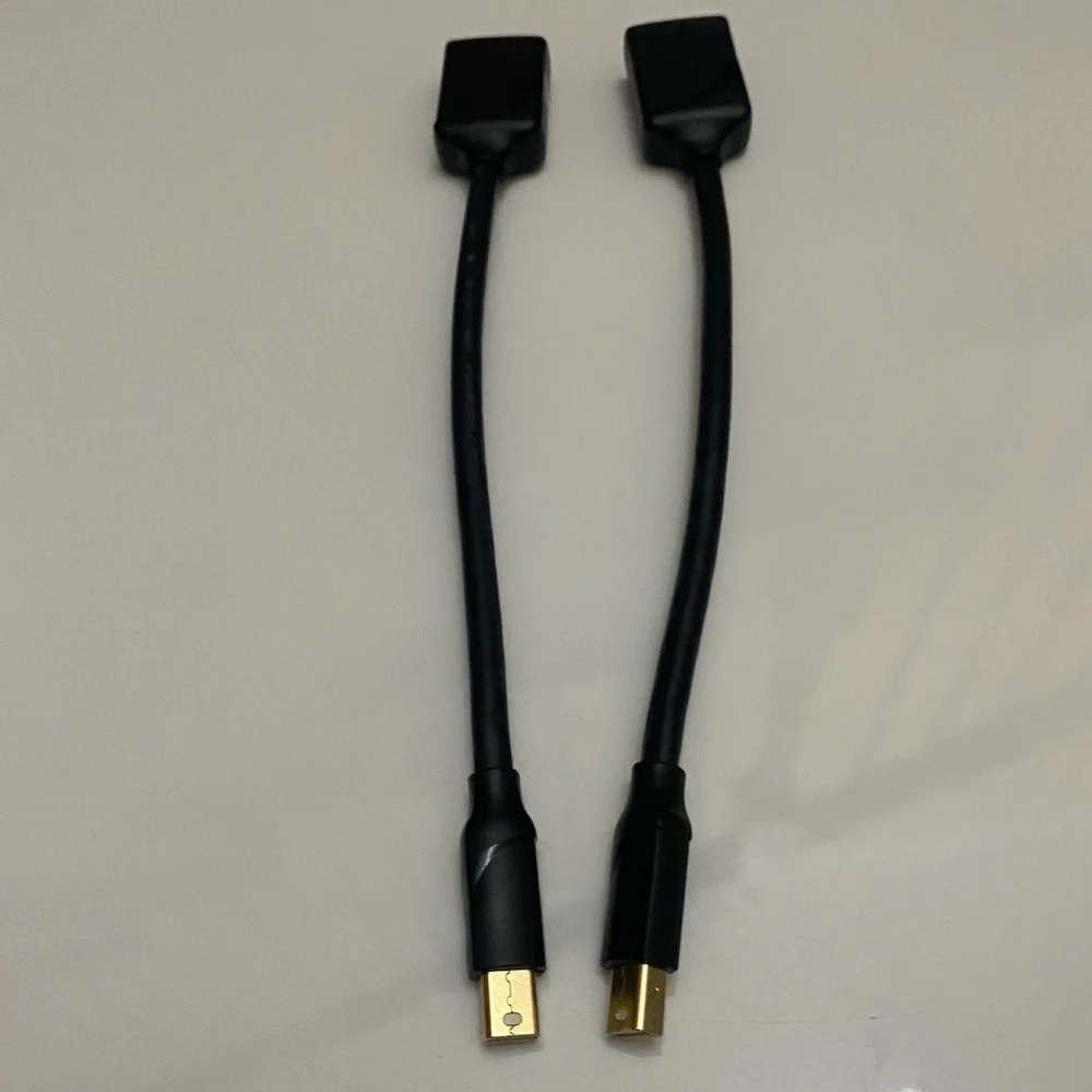 2 Mini DisplayPort to DisplayPort 1.4 Adapter